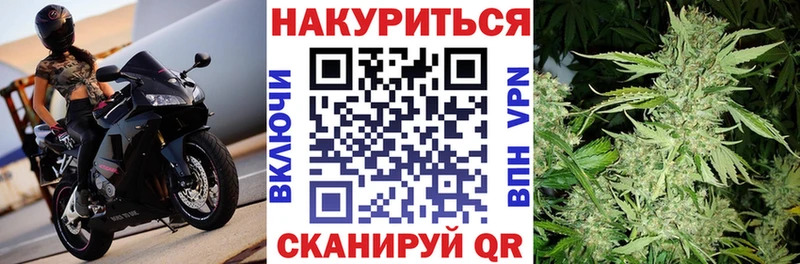 купить наркоту  omg   Каннабис сатива  Усть-Джегута 